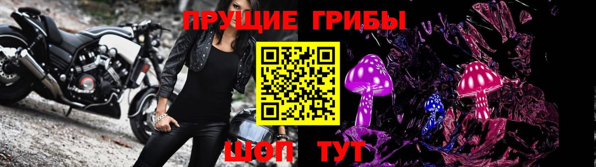 Псилоцибиновые грибы мицелий Урай